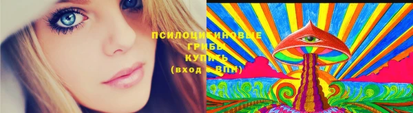 гидропоника Вуктыл