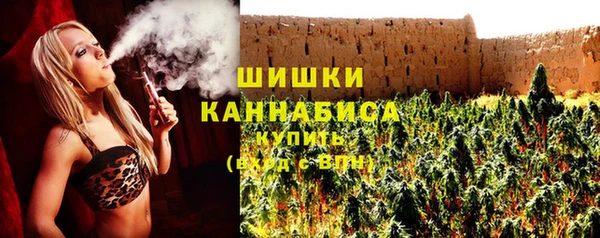 индика Покровск