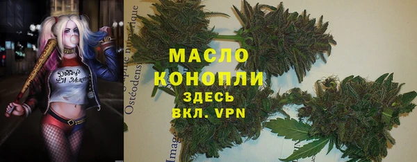 индика Покровск