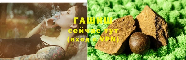 гидра Абаза