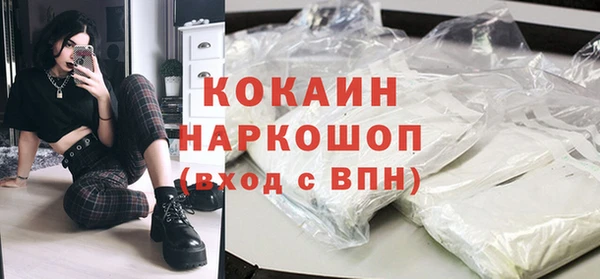 гидра Абаза