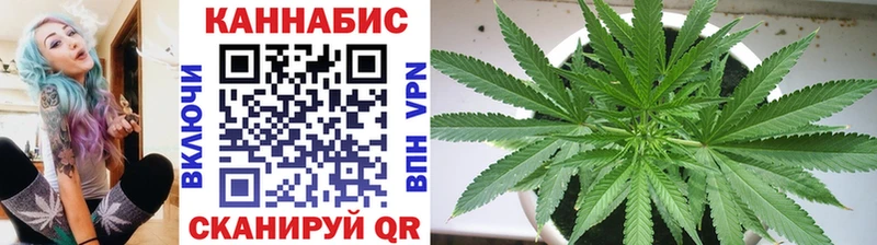 как найти   Усмань  Бошки марихуана конопля 
